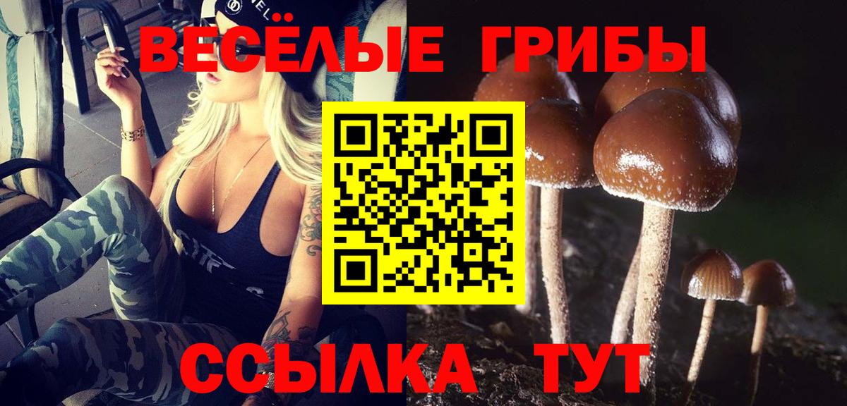 Псилоцибиновые грибы мицелий Усть-Джегута