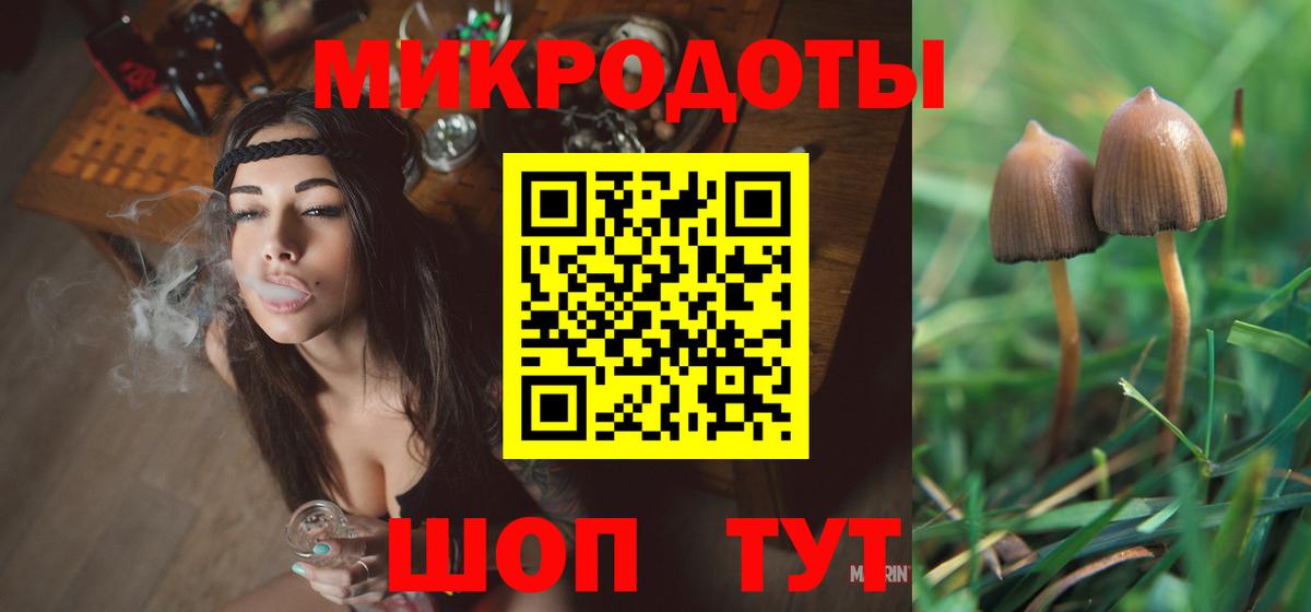 Галлюциногенные грибы мухоморы  Галлюциногенные грибы Psilocybine cubensis  Усть-Джегута  Вход с VPN 