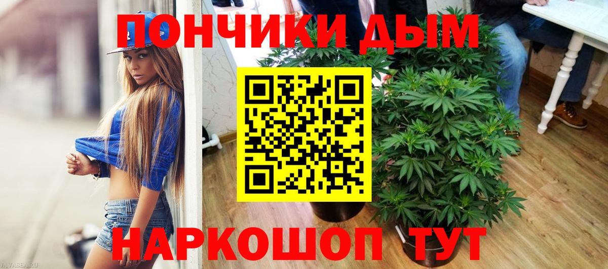 Усть-Джегута  Конопля планчик  Вход с VPN  Каннабис конопля  Канабис конопля  Конопля White Widow 